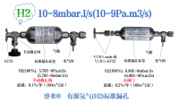 H2,10-8mbar.l/s(10-9Pa.m3/s)有源氢气(H2)标准漏孔