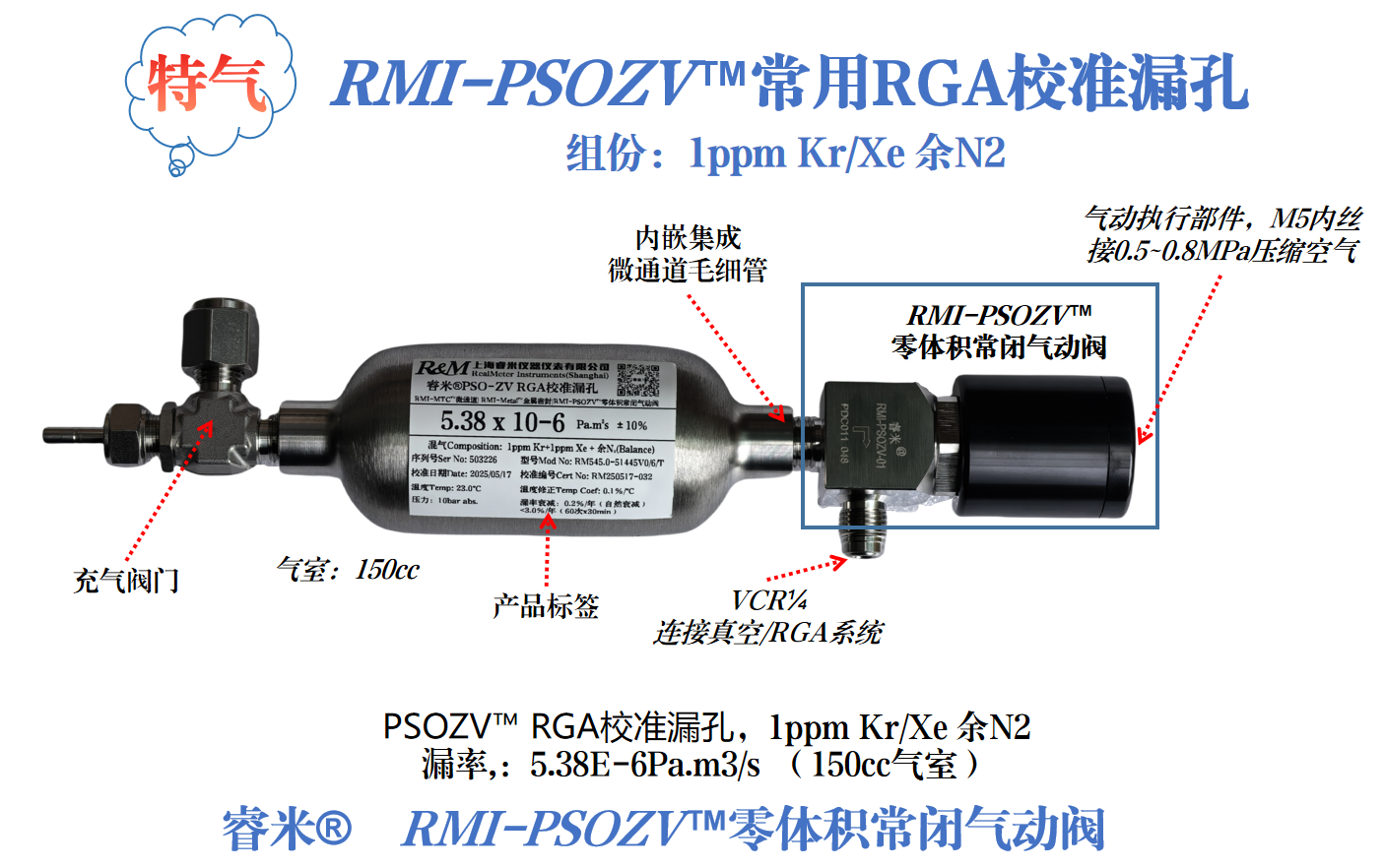 1749106685301174.png 55页-RGA漏孔 3种气体.png