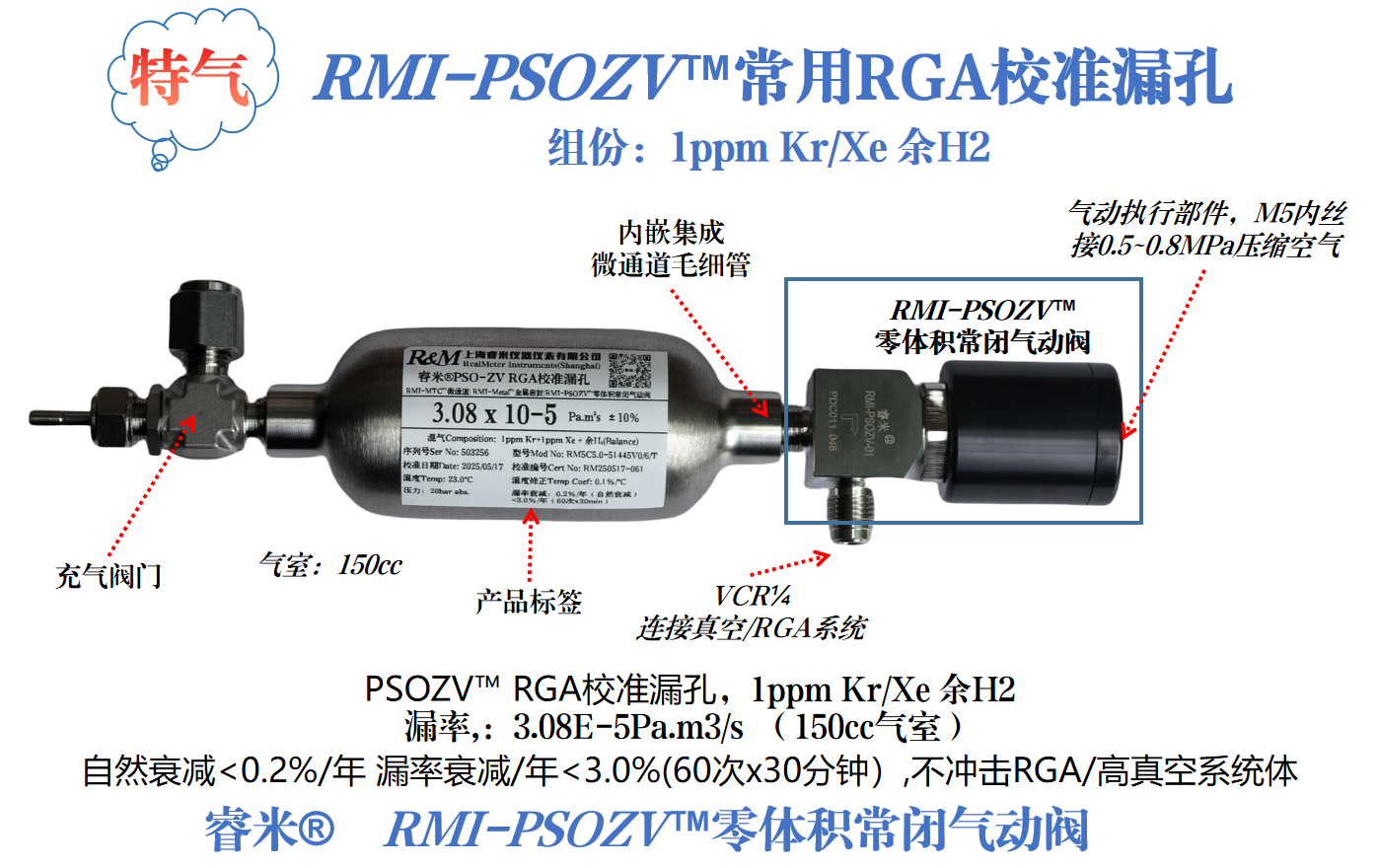 1750934415540461.png 56页-RGA漏孔 3种气体.png