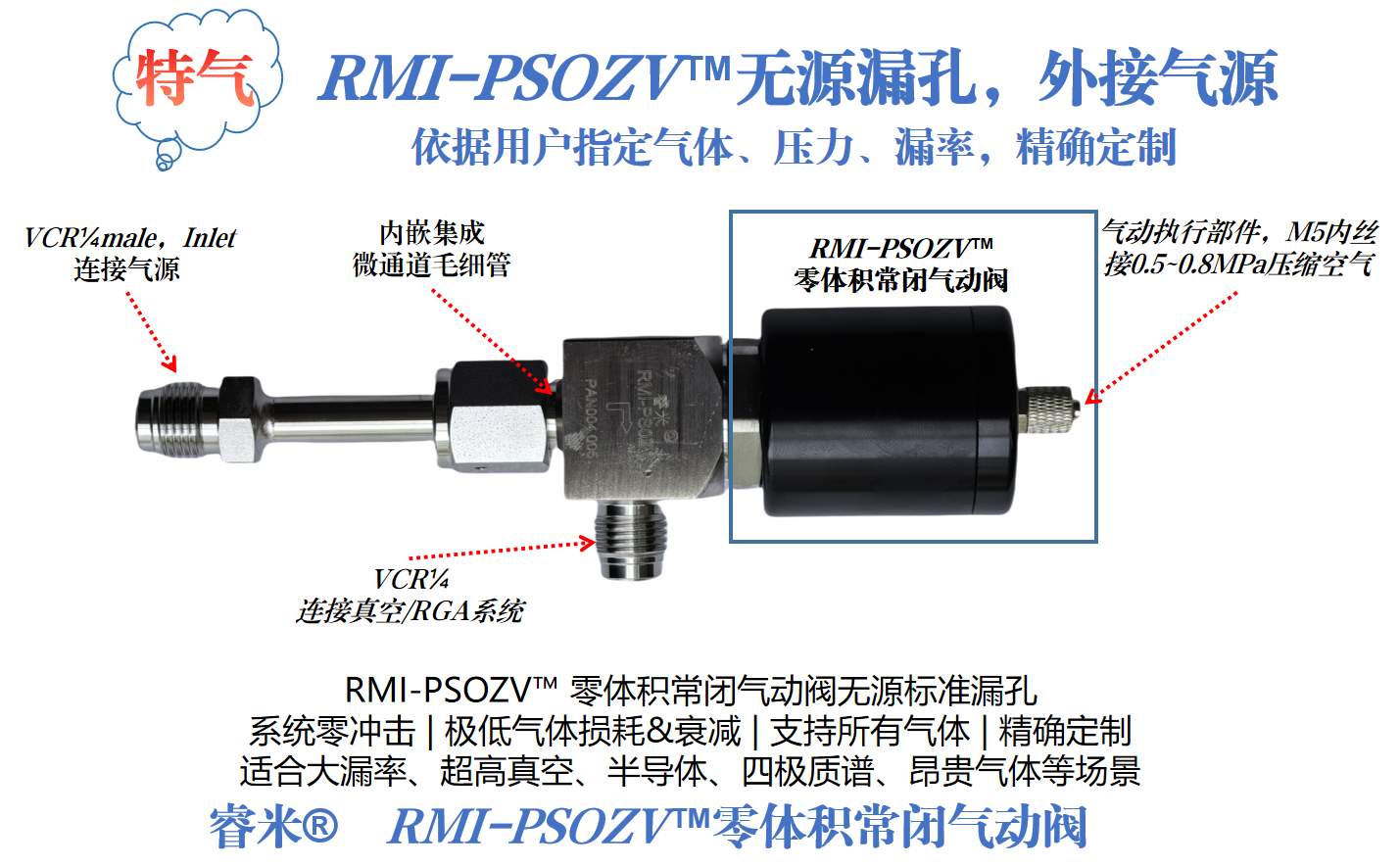1751346062140116.png 58页-RGA漏孔 无源漏孔.png