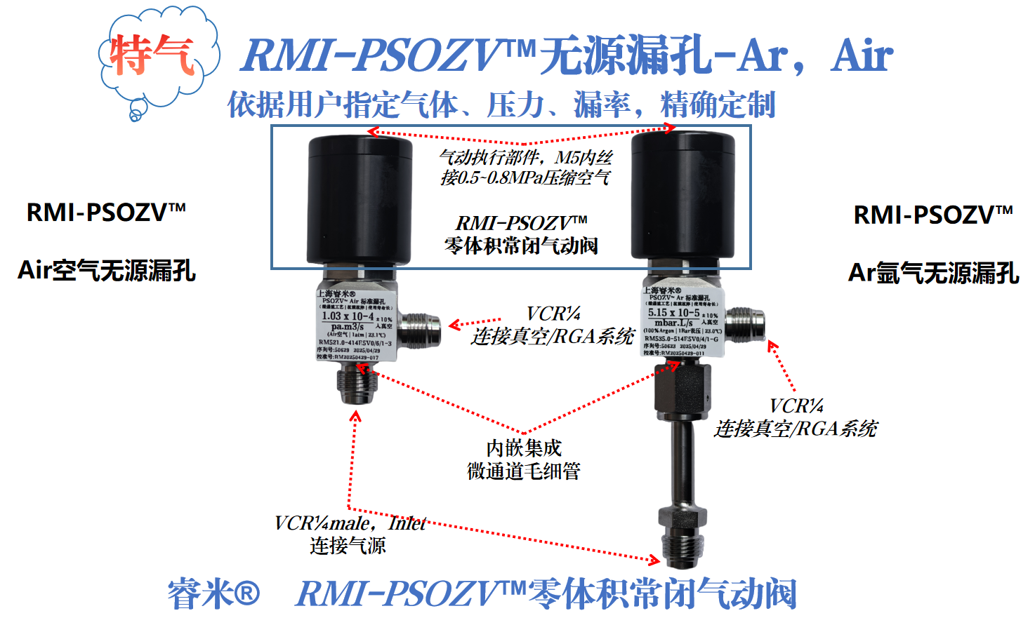1751347467129826.png 59页-RGA漏孔 无源漏孔Ar Air.png